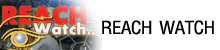 Reach Watch